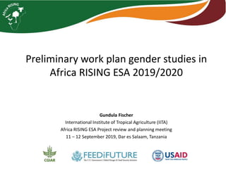 Preliminary work plan gender studies in
Africa RISING ESA 2019/2020
Gundula Fischer
International Institute of Tropical Agriculture (IITA)
Africa RISING ESA Project review and planning meeting
11 – 12 September 2019, Dar es Salaam, Tanzania
 