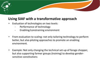 Preliminary work plan gender studies in Africa RISING ESA 2019/2020