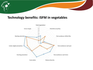 ISFM innovation: Example of maize - pigeonpea (and vegetables) in Tanzania
