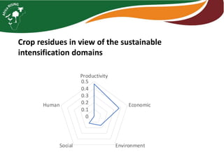 Crop residues in view of the sustainable
intensification domains
0
0.1
0.2
0.3
0.4
0.5
Productivity
Economic
EnvironmentSocial
Human