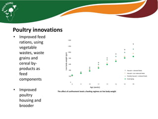 Poultry innovations
• Improved feed
rations, using
vegetable
wastes, waste
grains and
cereal by-
products as
feed
components
• Improved
poultry
housing and
brooder
0
200
400
600
800
1000
1200
1400
6 8 10 12 14 16 18 20
Livebodyweight(gm)
Age (weeks)
Housed + rationed feeds
Housed + non rationed feeds
Partially housed + rationedfeeds
Scavenging
The affect of confinement levels x feeding regimes on live body weight