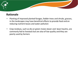 Integrated livestock feed interventions  