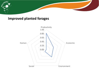 Integrated livestock feed interventions  
