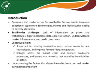 Functionality of markets and the economic analysis of sustainable intensification technologies