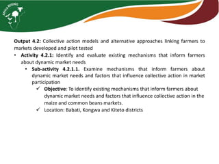 Functionality of markets and the economic analysis of sustainable intensification technologies