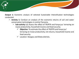 Functionality of markets and the economic analysis of sustainable intensification technologies