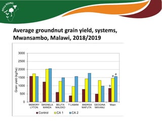 Maize legume Intensification – case studies from Malawi