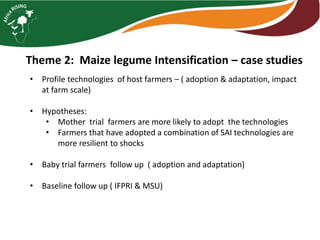 Maize legume Intensification – case studies from Malawi