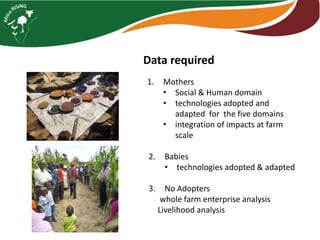 Maize legume Intensification – case studies from Malawi