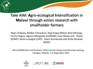 Take AIM: Agro-ecological Intensification in
Malawi through action research with
smallholder farmers
Regis Chikowo, Robbie Tichardson, Sieg Snapp (MSU); Wezi Mhango,
Fanny Chigwa, Agness Mangwela (LUANAR); Isaac Nyoka and Sileshi
(ICRAF), Desta Lulseged (CIAT), Owen Kumwenda and Anilly Msukwa
(DAES)
Africa RISING East and Southern Africa annual review and planning meeting,
Lilongwe, Malawi, 3-5 September 2013
 