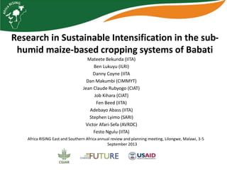 Research in Sustainable Intensification in the sub-
humid maize-based cropping systems of Babati
Mateete Bekunda (IITA)
Ben Lukuyu (ILRI)
Danny Coyne (IITA
Dan Makumbi (CIMMYT)
Jean Claude Rubyogo (CIAT)
Job Kihara (CIAT)
Fen Beed (IITA)
Adebayo Abass (IITA)
Stephen Lyimo (SARI)
Victor Afari-Sefa (AVRDC)
Festo Ngulu (IITA)
Africa RISING East and Southern Africa annual review and planning meeting, Lilongwe, Malawi, 3-5
September 2013
 