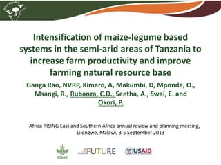 Intensification of maize-legume based
systems in the semi-arid areas of Tanzania to
increase farm productivity and improve
farming natural resource base
Ganga Rao, NVRP, Kimaro, A, Makumbi, D, Mponda, O.,
Msangi, R., Rubanza, C.D., Seetha, A., Swai, E. and
Okori, P.
Africa RISING East and Southern Africa annual review and planning meeting,
Lilongwe, Malawi, 3-5 September 2013
 