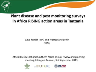 Plant disease and pest monitoring surveys
in Africa RISING action areas in Tanzania
Africa RISING East and Southern Africa annual review and planning
meeting, Lilongwe, Malawi, 3-5 September 2013
Lava Kumar (IITA) and Warren Arinaitwe
(CIAT)
 