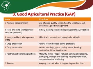 Integrating vegetables into maize based-farming systems in Babati District, Tanzania
