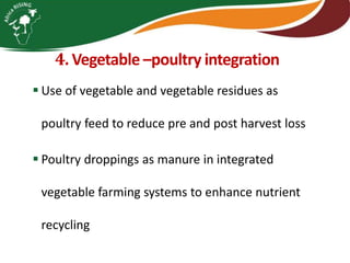 Integrating vegetables into maize based-farming systems in Babati District, Tanzania