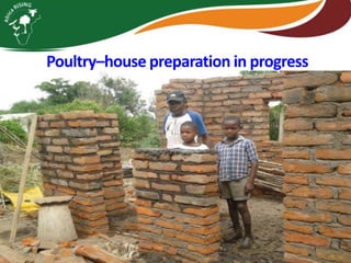 Integrating vegetables into maize based-farming systems in Babati District, Tanzania