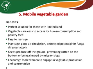 Integrating vegetables into maize based-farming systems in Babati District, Tanzania