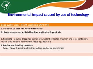 Integrating vegetables into maize based-farming systems in Babati District, Tanzania