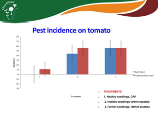 Integrating vegetables into maize based-farming systems in Babati District, Tanzania
