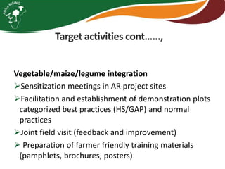 Integrating vegetables into maize based-farming systems in Babati District, Tanzania