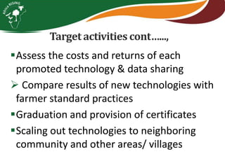 Integrating vegetables into maize based-farming systems in Babati District, Tanzania