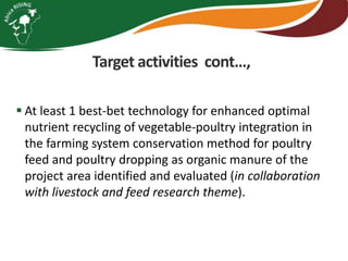 Integrating vegetables into maize based-farming systems in Babati District, Tanzania