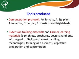 Integrating vegetables into maize based-farming systems in Babati District, Tanzania