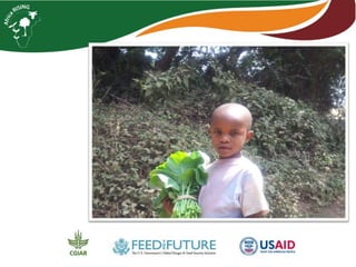 Integrating vegetables into maize based-farming systems in Babati District, Tanzania