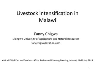 Livestock intensification in
Malawi
Fanny Chigwa
Lilongwe University of Agriculture and Natural Resources
fancchigwa@yahoo.com
Africa RISING East and Southern Africa Review and Planning Meeting, Malawi, 14-16 July 2015
1
 