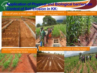 Application of Physical and Biological barriers on
Control of Soil Erosion in KK:
Run-off plots at Mlali village
Participatory run-off measurement at
Mlali village, Kongwa
Insitu rainwater harvesting technique at Chitego, KongwaPearl millet field with Fanya juu terrace at
Laikala village, Kongwa
Maize field with Fanya juu terrace at Njoro
village, Kiteto
 