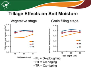 Tillage Effects on Soil Moisture
0.00
0.05
0.10
0.15
0.20
0.25
10 20 30
Volumetricwatercontentcm3/cm3
Soil depth ( cm)
PL
RT
TR
0.00
0.06
0.12
0.18
0.24
0.30
10 20 30
Volumetricwatercontent,cm3/cm3
Soil depth (cm)
PL
RT
TR
Vegetative stage Grain filling stage
• PL = Ox-ploughing
• RT = Ox-ridging
• TR = Ox-ripping
 