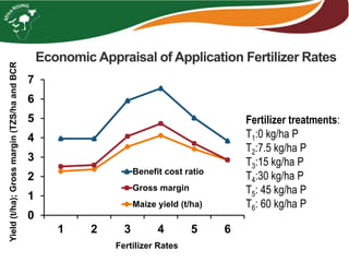 Economic Appraisal of Application Fertilizer Rates
0
1
2
3
4
5
6
7
1 2 3 4 5 6
Benefit cost ratio
Gross margin
Maize yield (t/ha)
Fertilizer treatments:
T1:0 kg/ha P
T2:7.5 kg/ha P
T3:15 kg/ha P
T4:30 kg/ha P
T5: 45 kg/ha P
T6: 60 kg/ha P
Yield(t/ha);Grossmargin(TZS/haandBCR
Fertilizer Rates
 