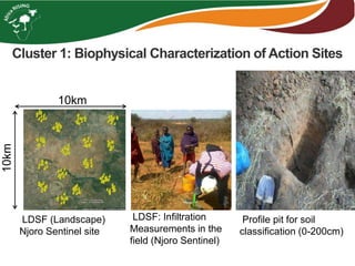 Cluster 1: Biophysical Characterization of Action Sites
LDSF (Landscape)
Njoro Sentinel site
LDSF: Infiltration
Measurements in the
field (Njoro Sentinel)
Profile pit for soil
classification (0-200cm)
10km
10km
 