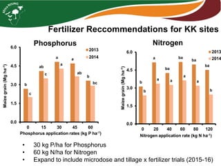 Fertilizer Reccommendations for KK sites
b
ab
a a
b
c
c
a
ab
bc
0.0
1.5
3.0
4.5
6.0
0 15 30 45 60
Maizegrain(Mgha-1)
Phosphorus application rates (kg P ha-1)
2013
2014
b
a
ba
ba
ba
ba
b
a a
a
a
b
0.0
1.5
3.0
4.5
6.0
0 20 40 60 80 120
Maizegrain(Mgha-1)
Nitrogen application rate (kg N ha-1)
2013
2014
Phosphorus Nitrogen
• 30 kg P/ha for Phosphorus
• 60 kg N/ha for Nitrogen
• Expand to include microdose and tillage x fertilizer trials (2015-16)
 
