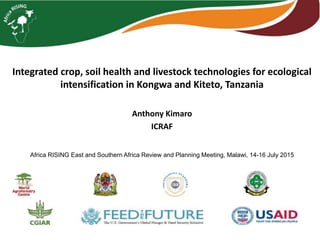 Integrated crop, soil health and livestock technologies for ecological
intensification in Kongwa and Kiteto, Tanzania
Anthony Kimaro
ICRAF
Africa RISING East and Southern Africa Review and Planning Meeting, Malawi, 14-16 July 2015
 