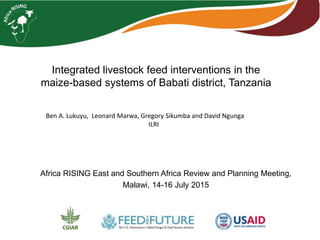 Integrated livestock feed interventions in the
maize-based systems of Babati district, Tanzania
Africa RISING East and Southern Africa Review and Planning Meeting,
Malawi, 14-16 July 2015
Ben A. Lukuyu, Leonard Marwa, Gregory Sikumba and David Ngunga
ILRI
 