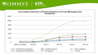 Update on the Sustainable Intensification of Maize-Legume Systems for the Eastern Province of Zambia-Africa RISING (SIMLEZA-AR) Project