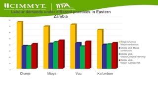 Update on the Sustainable Intensification of Maize-Legume Systems for the Eastern Province of Zambia-Africa RISING (SIMLEZA-AR) Project
