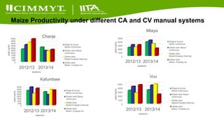 Update on the Sustainable Intensification of Maize-Legume Systems for the Eastern Province of Zambia-Africa RISING (SIMLEZA-AR) Project