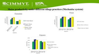 Update on the Sustainable Intensification of Maize-Legume Systems for the Eastern Province of Zambia-Africa RISING (SIMLEZA-AR) Project