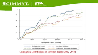 Update on the Sustainable Intensification of Maize-Legume Systems for the Eastern Province of Zambia-Africa RISING (SIMLEZA-AR) Project