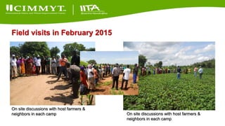 Update on the Sustainable Intensification of Maize-Legume Systems for the Eastern Province of Zambia-Africa RISING (SIMLEZA-AR) Project