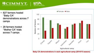 Update on the Sustainable Intensification of Maize-Legume Systems for the Eastern Province of Zambia-Africa RISING (SIMLEZA-AR) Project