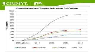 Update on the Sustainable Intensification of Maize-Legume Systems for the Eastern Province of Zambia-Africa RISING (SIMLEZA-AR) Project