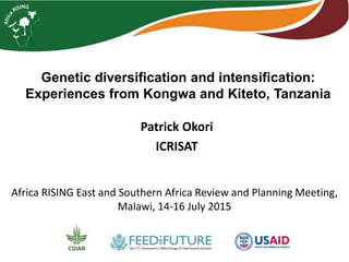 Genetic diversification and intensification:
Experiences from Kongwa and Kiteto, Tanzania
Patrick Okori
ICRISAT
Africa RISING East and Southern Africa Review and Planning Meeting,
Malawi, 14-16 July 2015
 