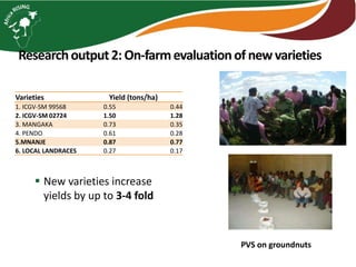 Researchoutput2: On-farmevaluationof newvarieties
PVS on groundnuts
 New varieties increase
yields by up to 3-4 fold
Varieties Yield (tons/ha)
1. ICGV-SM 99568 0.55 0.44
2. ICGV-SM 02724 1.50 1.28
3. MANGAKA 0.73 0.35
4. PENDO 0.61 0.28
5.MNANJE 0.87 0.77
6. LOCAL LANDRACES 0.27 0.17
 