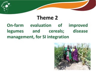 Theme 2
On-farm evaluation of improved
legumes and cereals; disease
management, for SI integration
 