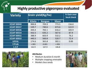 Highly productive pigeonpea evaluated
Variety Grain yield(Kg/ha) % Gain over
local check
Kiteto Kongwa Mean
ICEAP 00040 900.8 709.9 773.5 156.0
ICEAP 00557 539.7 740.6 673.6 122.9
ICEAP 00936 444.4 702.1 616.2 103.9
ICEAP 00554 432.5 635.2 567.6 87.9
ICEAP 00932 388.9 603.9 532.2 76.2
ICEAP 00933 440.5 560.8 520.7 72.4
LOCAL 174.6 365.8 302.1 0.00
F.Prob <.001 0.001 <.001
L.S.D 162.9 167.9 146.8
Attributes
• Medium duration 6 month
• Multiple cropping amenable
• Market class seeds
 