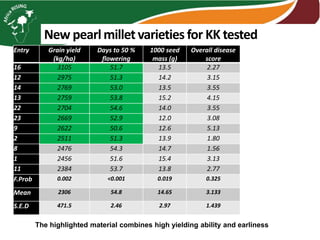 New pearlmillet varieties for KK tested
The highlighted material combines high yielding ability and earliness
Entry Grain yield
(kg/ha)
Days to 50 %
flowering
1000 seed
mass (g)
Overall disease
score
16 3105 51.7 13.5 2.27
12 2975 51.3 14.2 3.15
14 2769 53.0 13.5 3.55
13 2759 53.8 15.2 4.15
22 2704 54.6 14.0 3.55
23 2669 52.9 12.0 3.08
9 2622 50.6 12.6 5.13
2 2511 51.3 13.9 1.80
8 2476 54.3 14.7 1.56
1 2456 51.6 15.4 3.13
11 2384 53.7 13.8 2.77
F.Prob 0.002 <0.001 0.019 0.325
Mean 2306 54.8 14.65 3.133
S.E.D 471.5 2.46 2.97 1.439
 