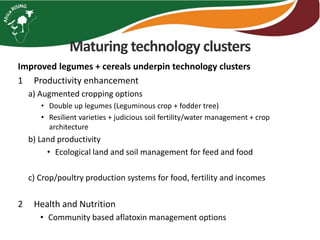 Maturing technology clusters
Improved legumes + cereals underpin technology clusters
1 Productivity enhancement
a) Augmented cropping options
• Double up legumes (Leguminous crop + fodder tree)
• Resilient varieties + judicious soil fertility/water management + crop
architecture
b) Land productivity
• Ecological land and soil management for feed and food
c) Crop/poultry production systems for food, fertility and incomes
2 Health and Nutrition
• Community based aflatoxin management options
 